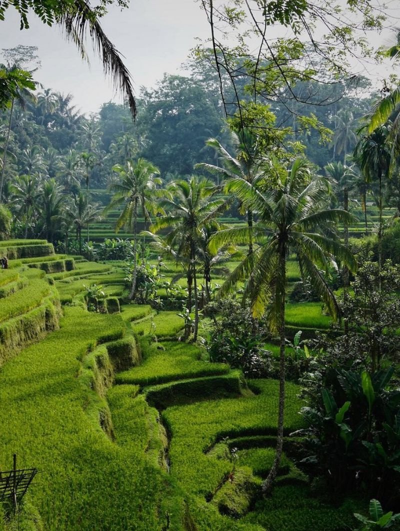 Ubud