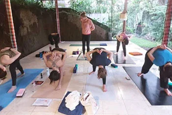 Bali Vinyasa Yoga School photo 2